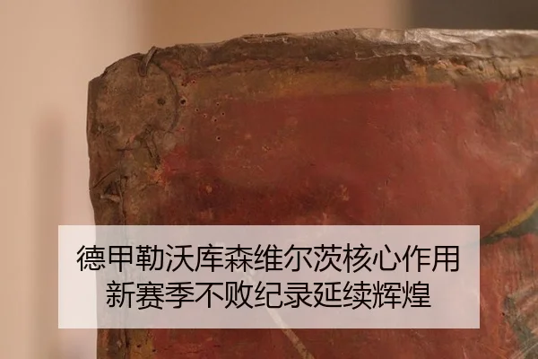德甲勒沃库森维尔茨核心作用 新赛季不败纪录延续辉煌