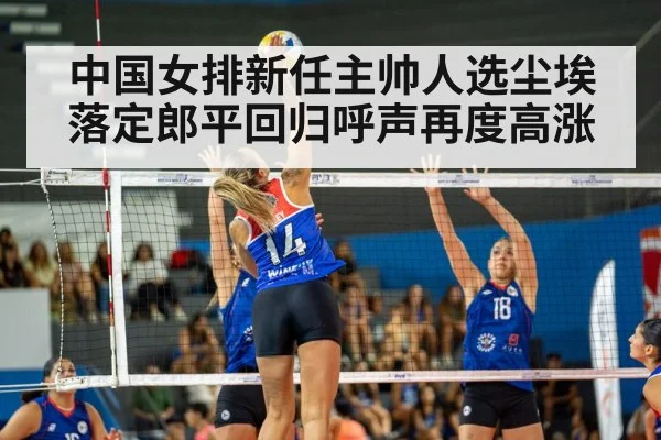 volleyball match action